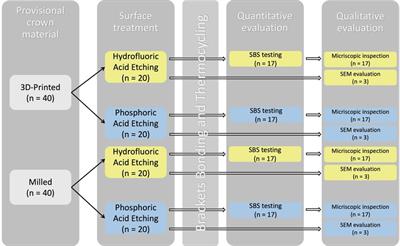 In vitro assessment of chemical surface treatments on the shear bond strength of metal orthodontic brackets to CAD/CAM provisional materials